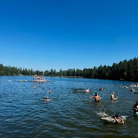 Apartment Cozy Near Oslo Easy Access To Nature Drammen