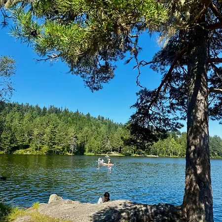 Apartment Cozy Near Oslo Easy Access To Nature Drammen
