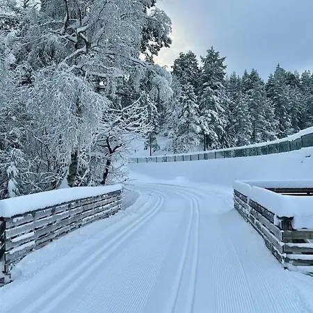 Apartment Cozy Near Oslo Easy Access To Nature *